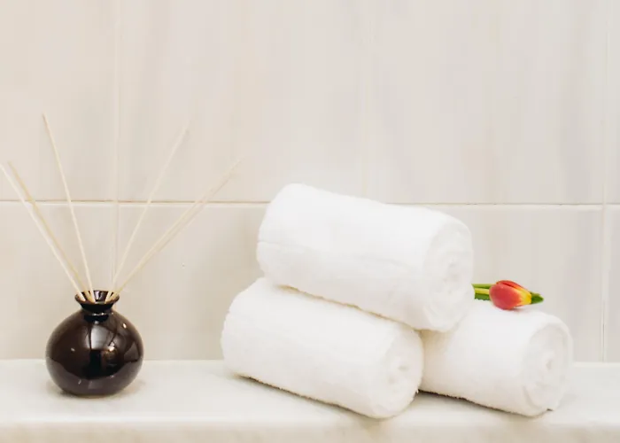 Ibis Styles Centre 호텔 류블랴나