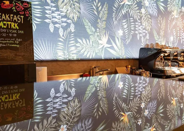 Ibis Styles Centre 호텔 3*